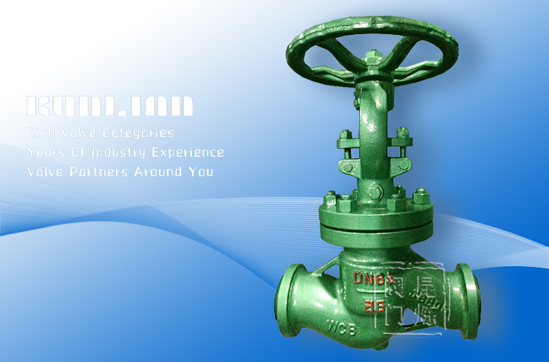 DSJ61H����ˮ���ֹ�y