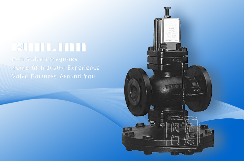 25P�Ȍ�(d��o)��Ĥʽ�����p���y