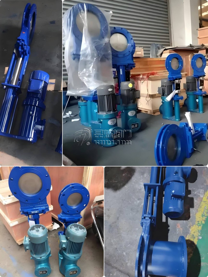 �Һ��(d��ng)�մ��l�y�x�����S��- �Ϻ������y�T�������޹�˾